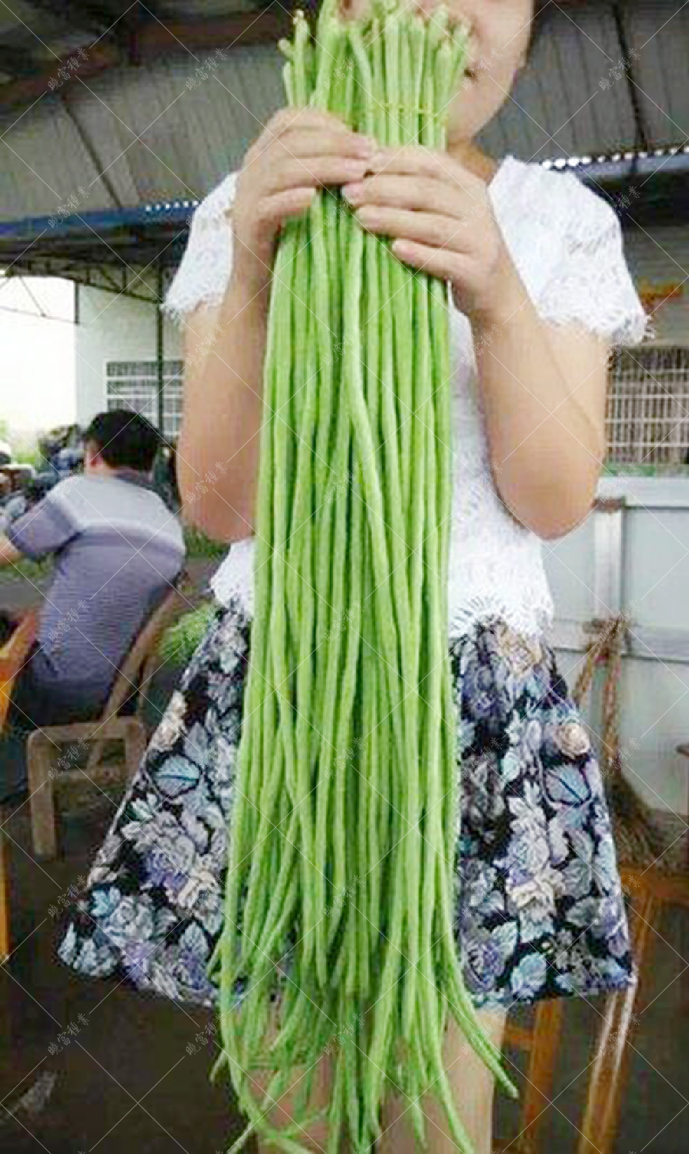 1557906223169769.jpg 未標(biāo)題-1.jpg